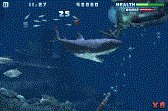 game pic for Hungry Shark HD Free